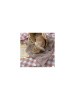 ! vichy-peche (1) (1)!