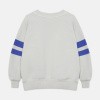 ! 25514-winter-garden-stripes-swea (1)!