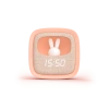 ! BILLY-PK-01 (1)!