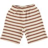 ! Arthur Shorts2!