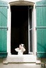p1406673_444882_4_60eda4a6a36c0!